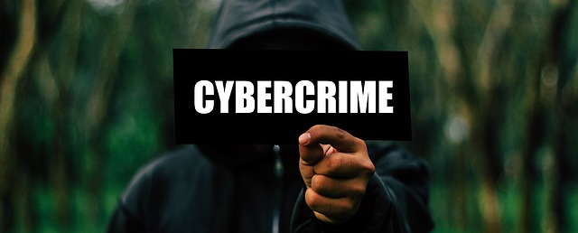 cyber zločinec