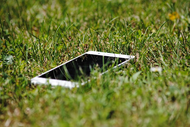 Telefon ležící v trávě